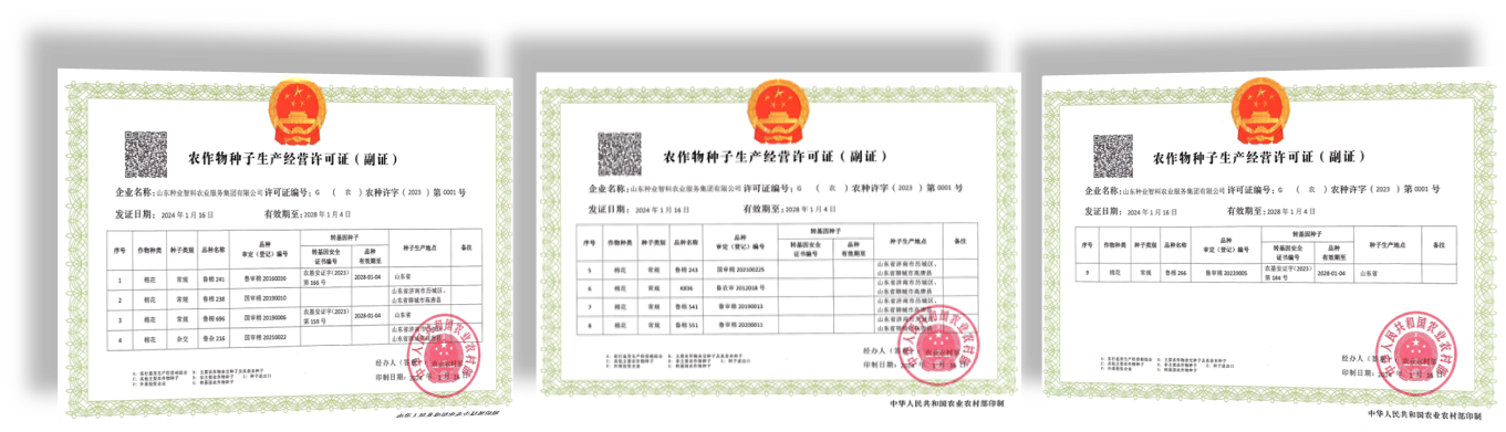 凯时·[中国]官方网站